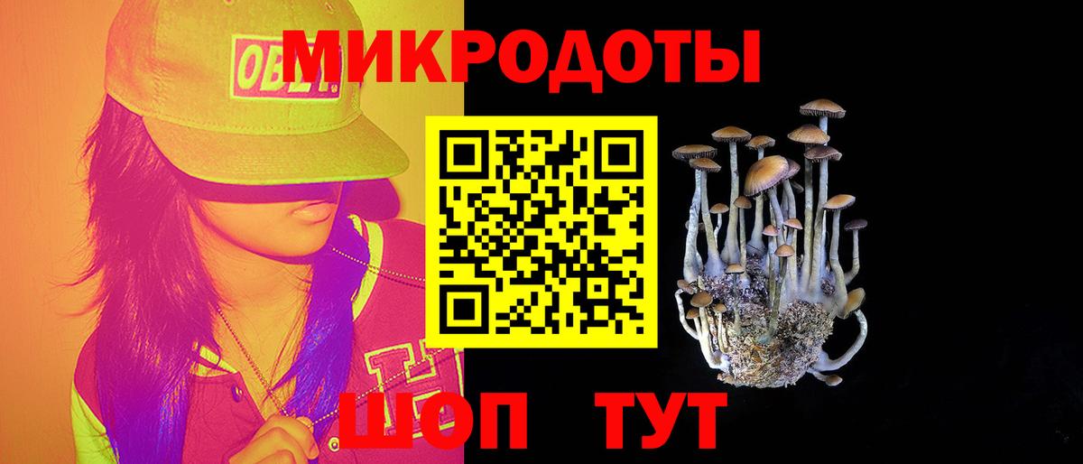 Галлюциногенные грибы Cubensis Лыткарино